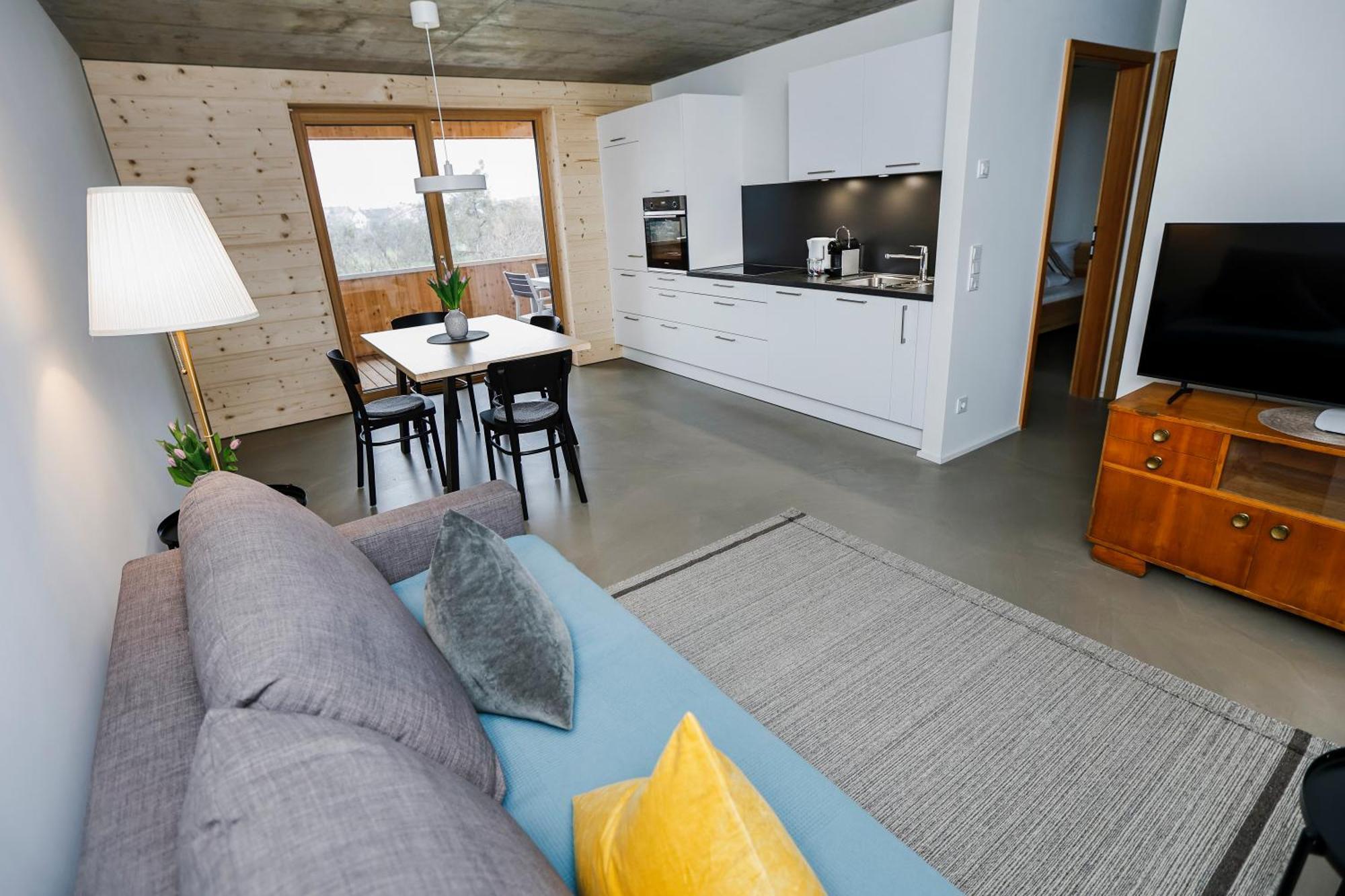 Boutique Apartments Lustenau Nachhaltige Kuehlung Ueber Erdsonde Und Fussbodenkuehlung Room photo