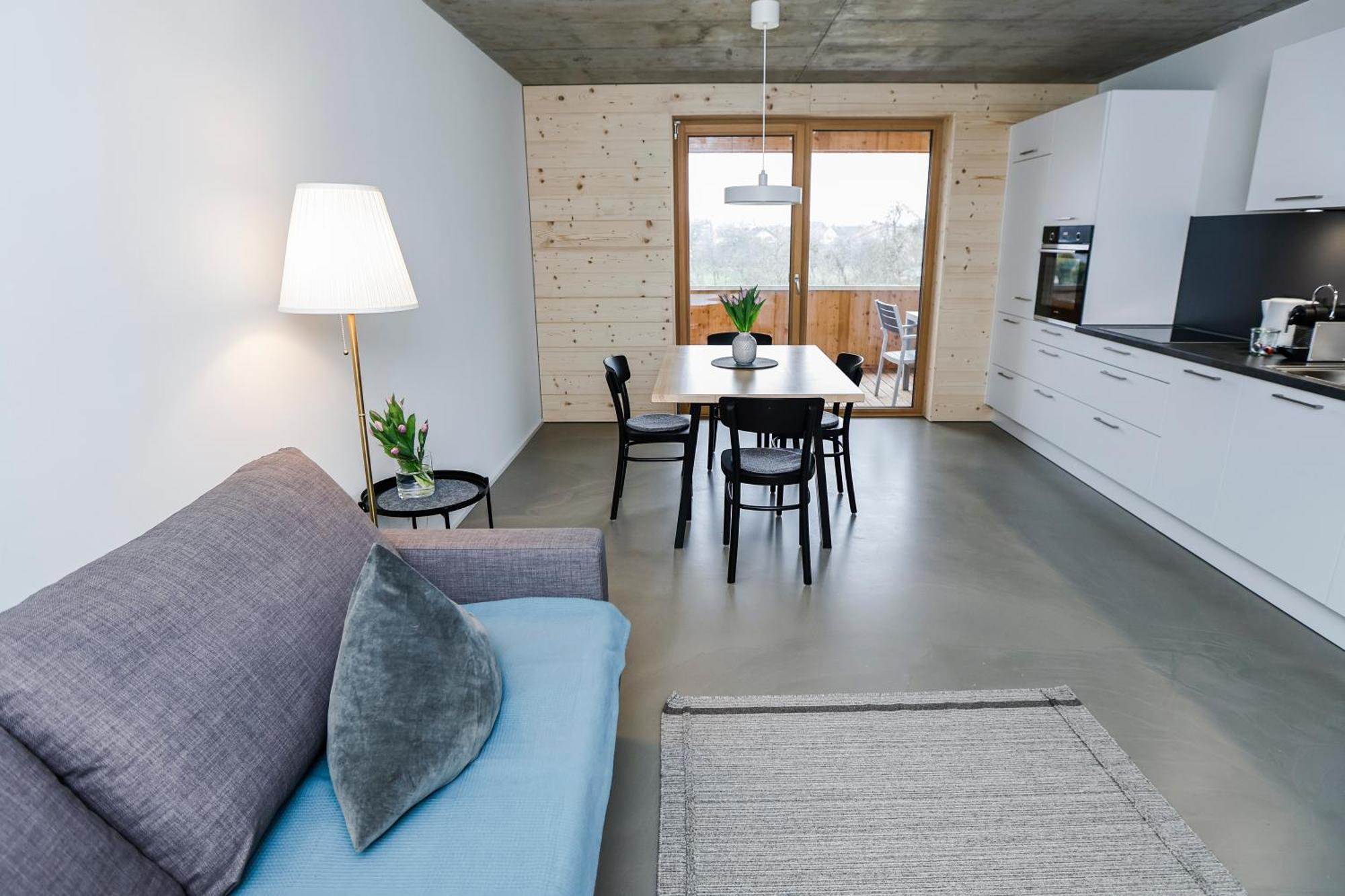 Boutique Apartments Lustenau Nachhaltige Kuehlung Ueber Erdsonde Und Fussbodenkuehlung Room photo